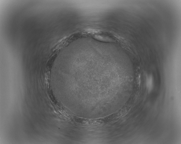 X0000054371397200508051543