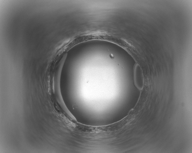 X0000054371398200508051543