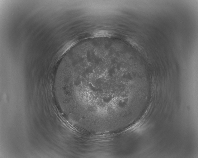 X0000054371401200508051543