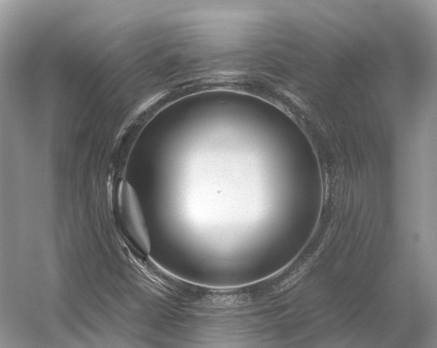 X0000054371402200508051543