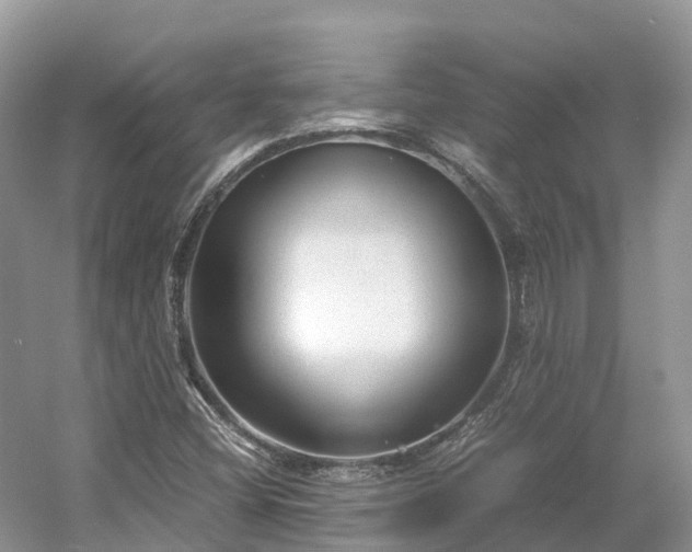 X0000054371404200508051543