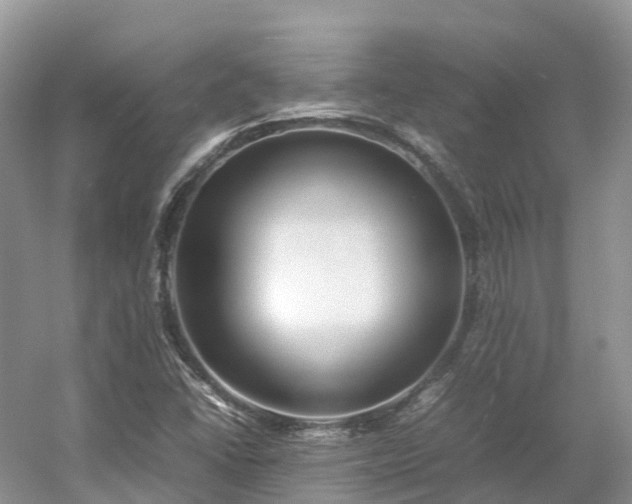 X0000054371406200508051543