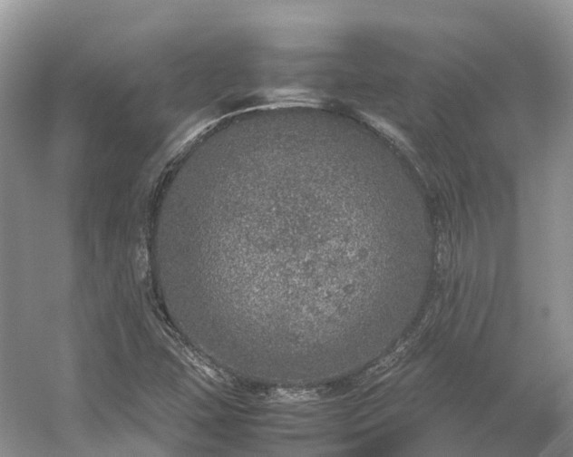 X0000054371407200508051543