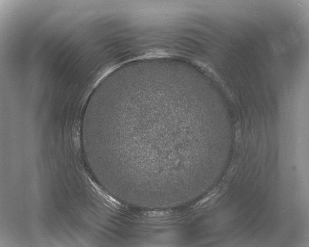 X0000054371409200508051543