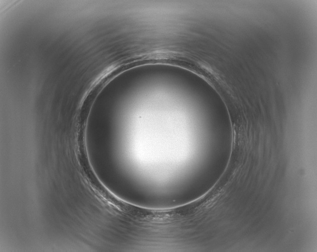 X0000054371410200508051543