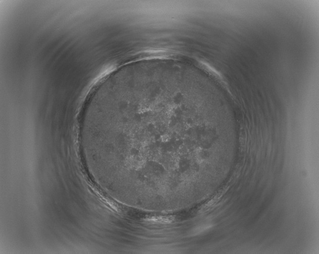 X0000054371411200508051543