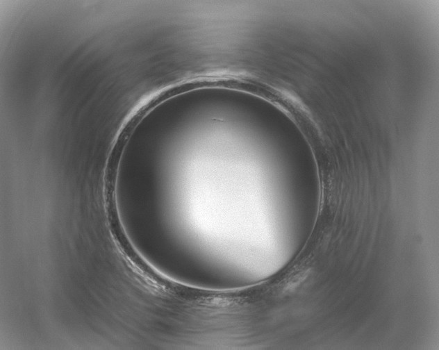 X0000054371412200508051543