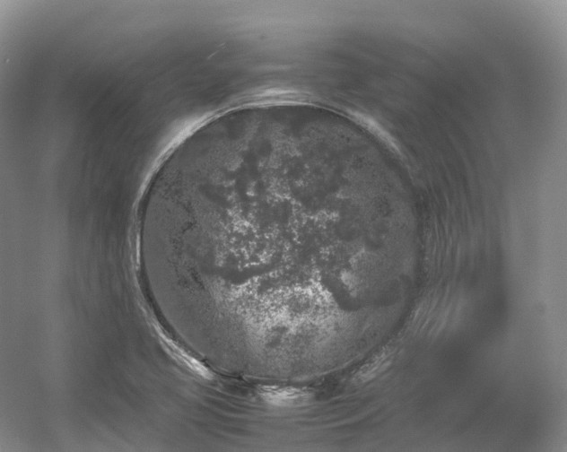 X0000054371413200508051543