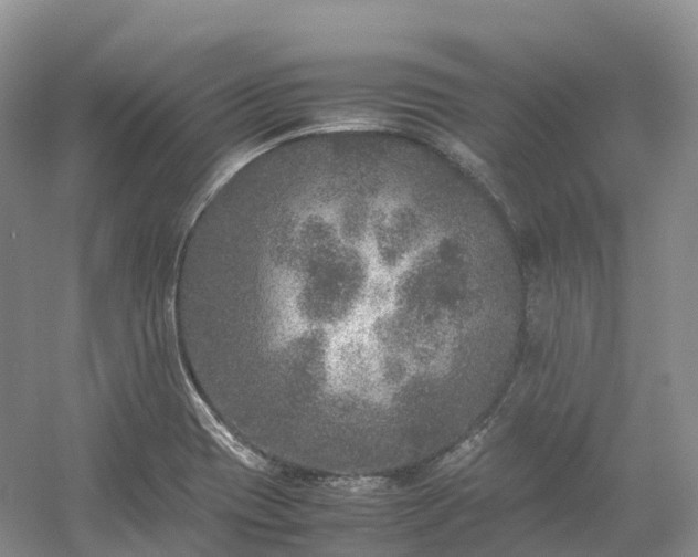 X0000054371417200508051543