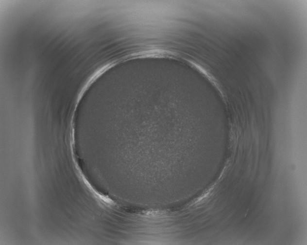 X0000054371418200508051543