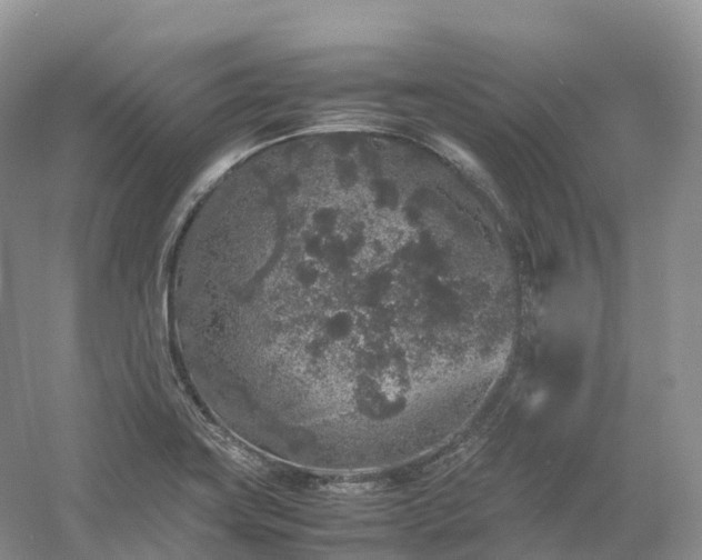 X0000054371419200508051543