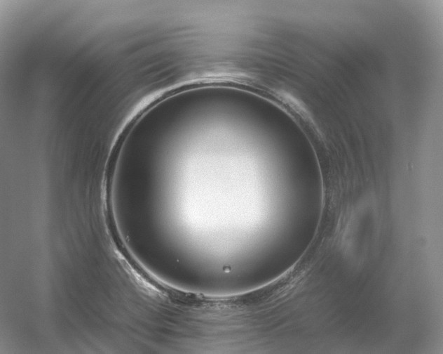 X0000054371420200508051543