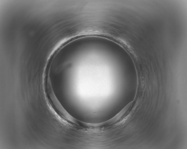 X0000054371422200508051543