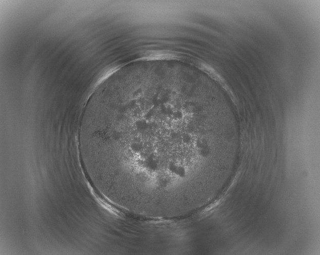 X0000054371425200508051543