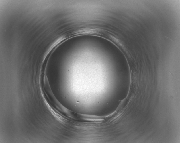 X0000054371426200508051543