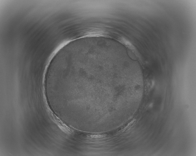 X0000054371427200508051543