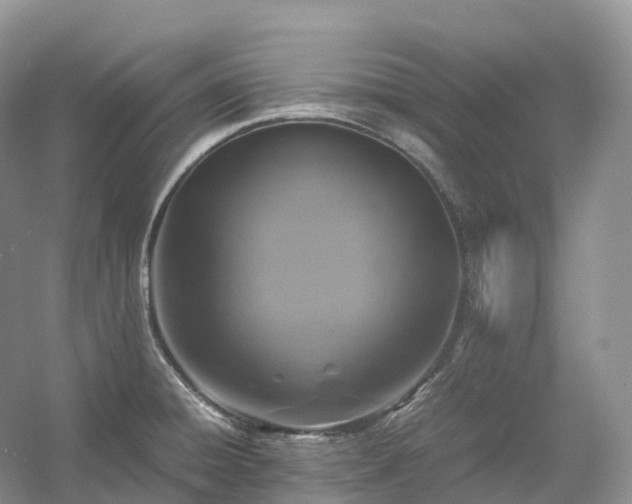 X0000054371428200508051543