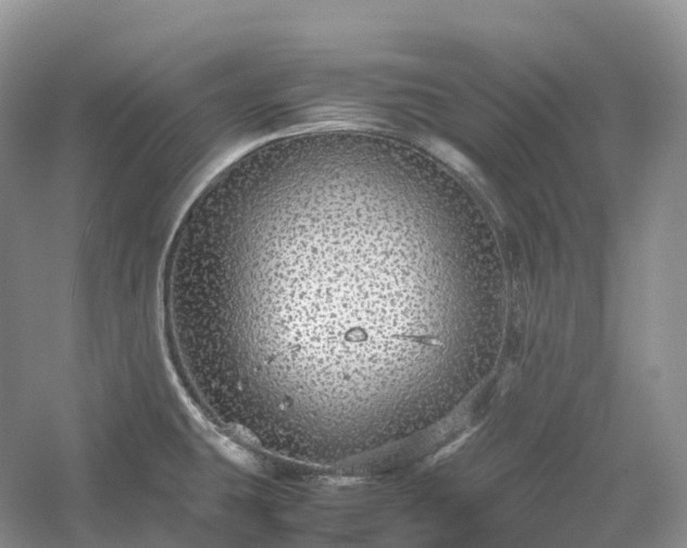 X0000054371431200508051543