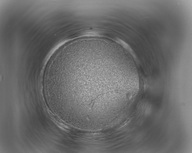 X0000054371435200508051543