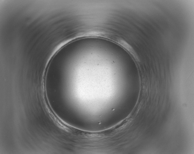 X0000054371436200508051543