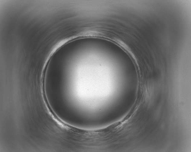 X0000054371437200508051543