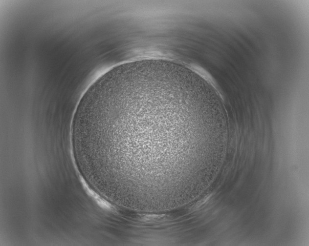 X0000054371439200508051543