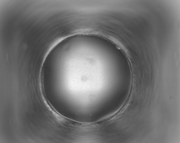 X0000054371440200508051544