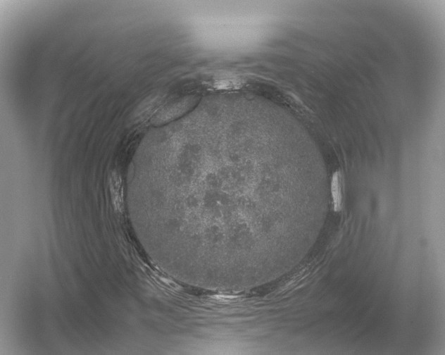 X0000054371443200508051543