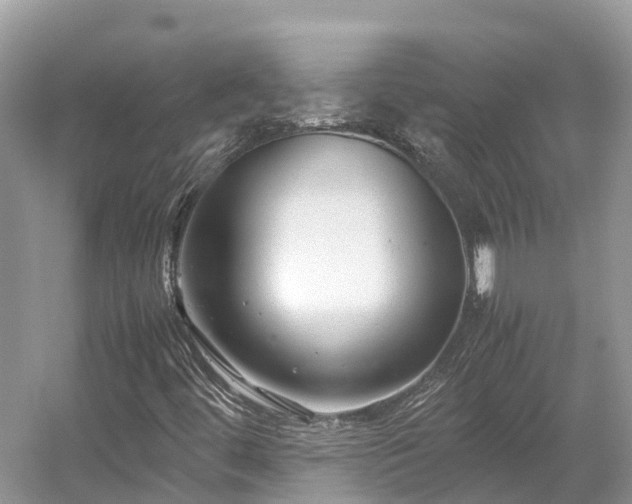 X0000054371444200508051543