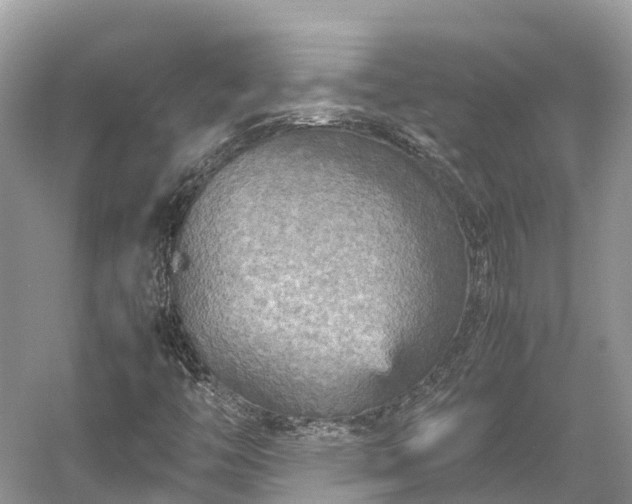 X0000054371446200508051543