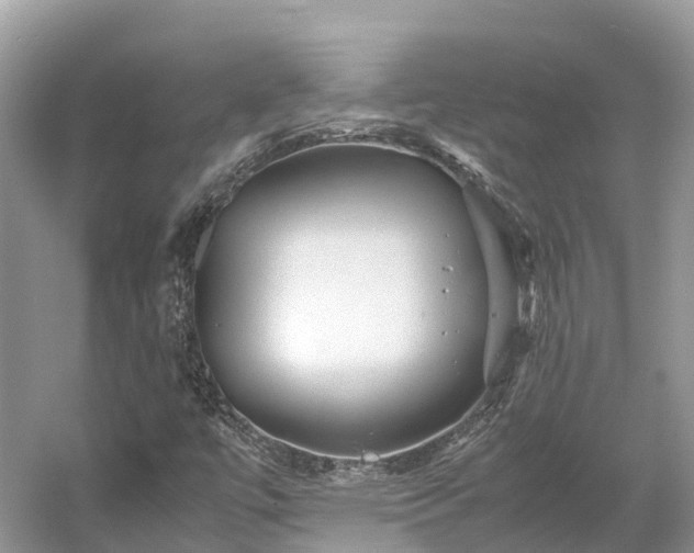 X0000054371447200508051543