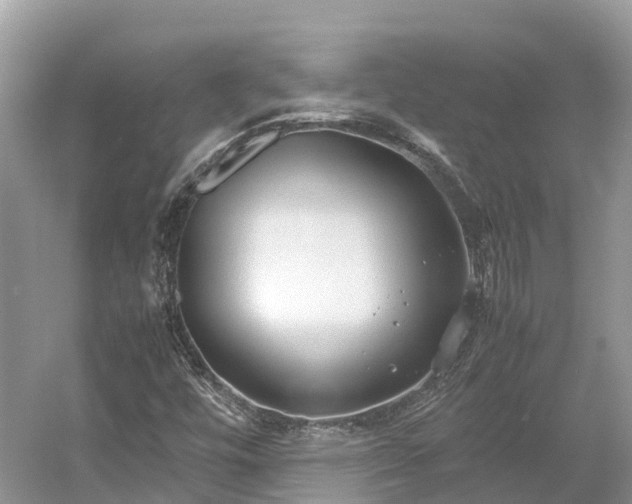 X0000054371448200508051543