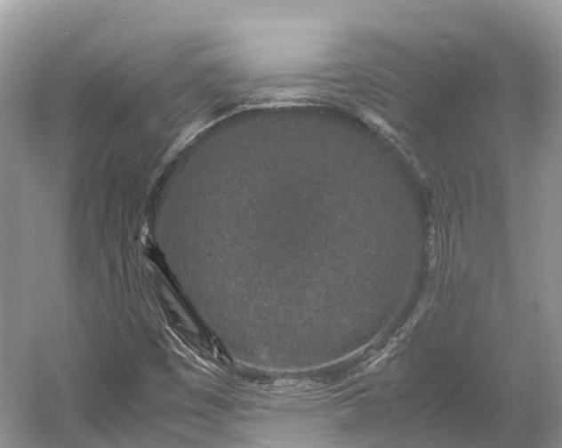 X0000054371449200508051543