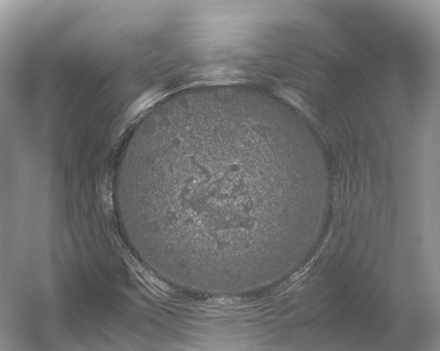 X0000054371451200508051543