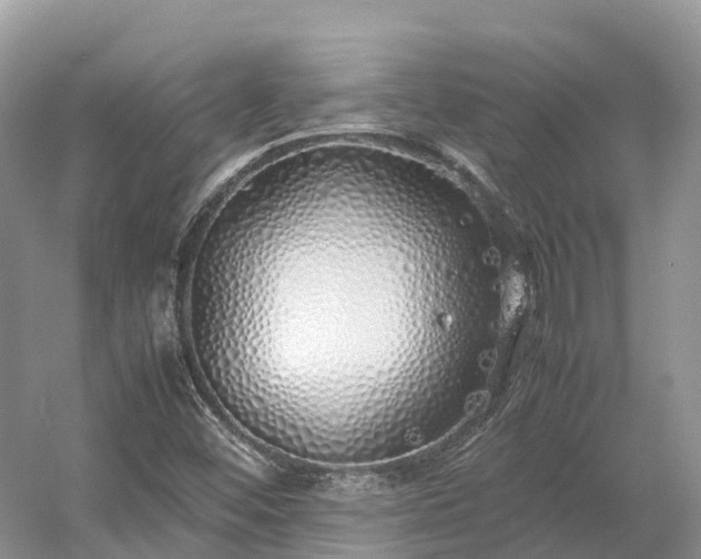 X0000054371452200508051543