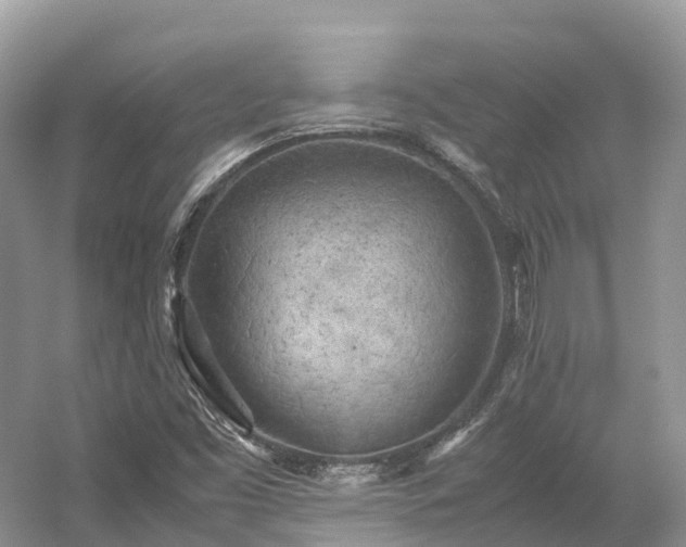 X0000054371453200508051542