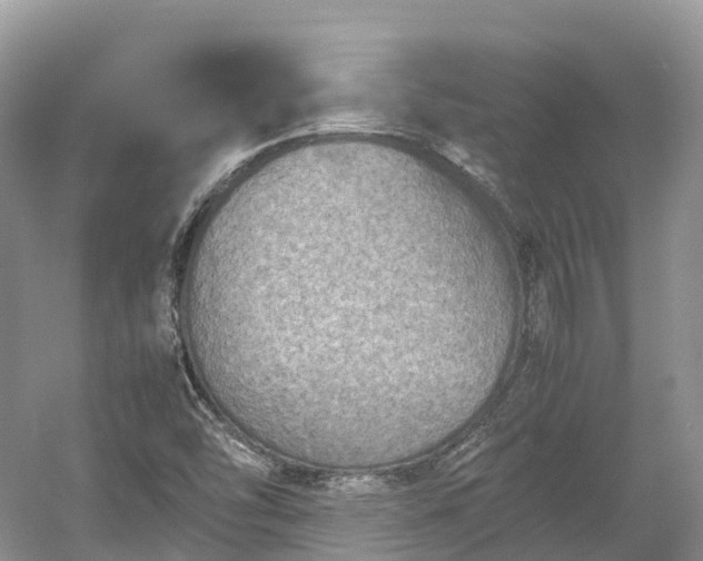 X0000054371454200508051542