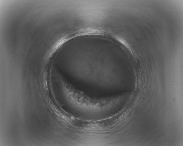 X0000054371455200508051542