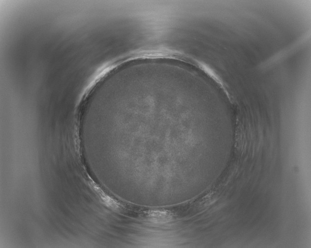 X0000054371456200508051542