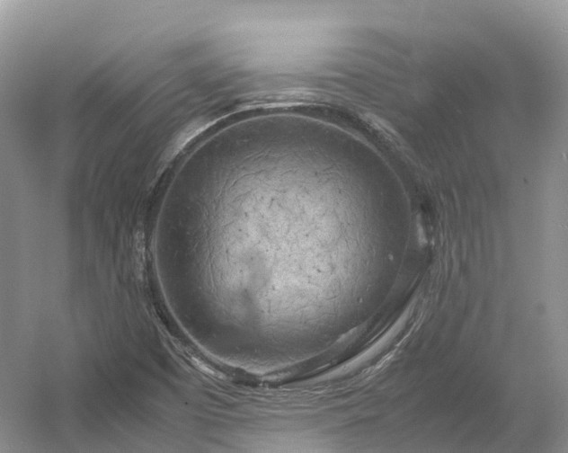 X0000054371457200508051542