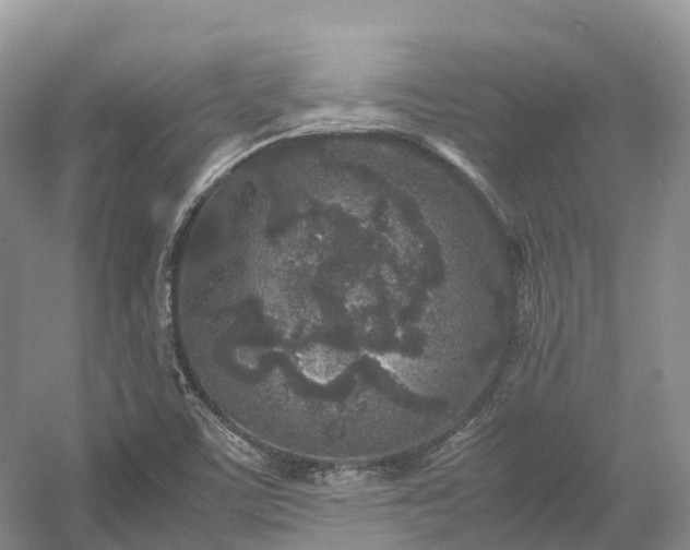 X0000054371459200508051542