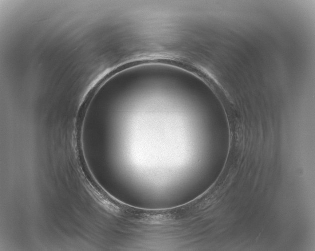 X0000054371460200508051542