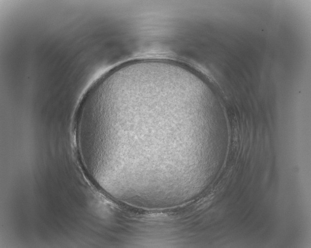 X0000054371462200508051542