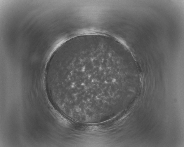 X0000054371463200508051542