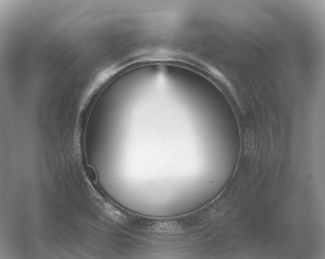 X0000054371464200508051542