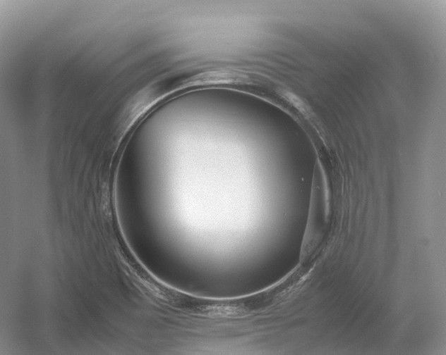 X0000054371465200508051542