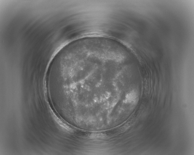 X0000054371466200508051542