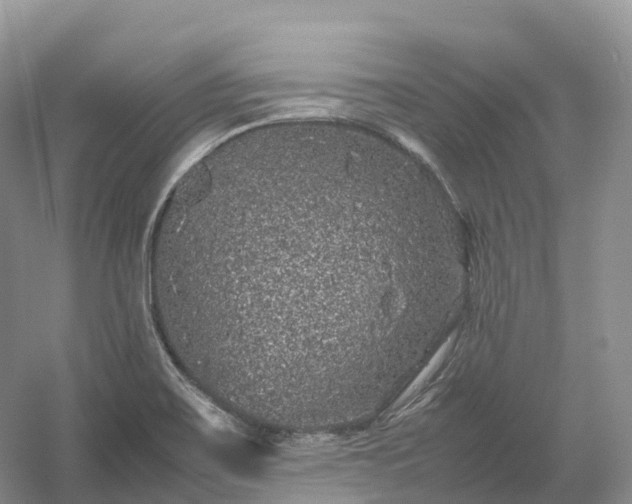 X0000054371467200508051542