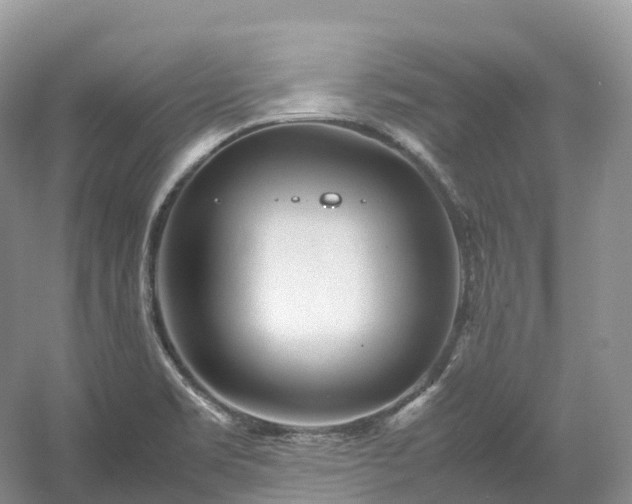 X0000054371469200508051542