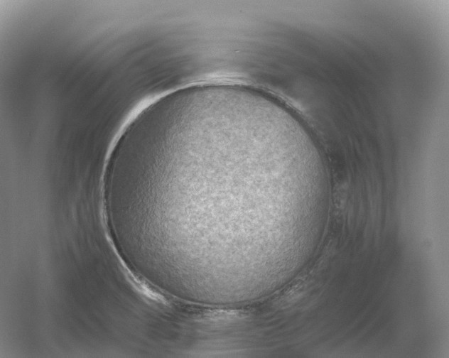 X0000054371470200508051542